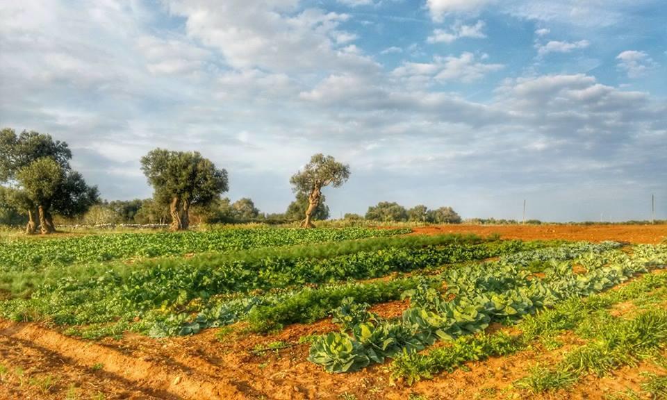 Masseria La Lizza - Ospitalita Rurale Лече Екстериор снимка
